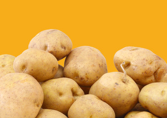 bunch of freshly harvested potatoes on yellow background