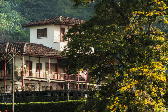 Zona cafetera colombia