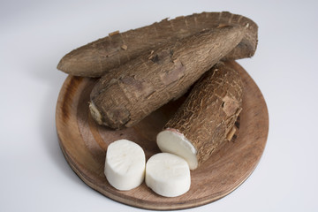 yuca, casava-Manihot esculenta
