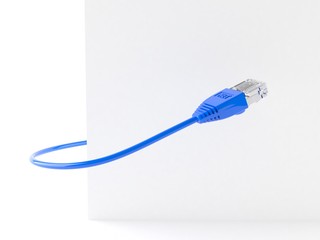 Network cable