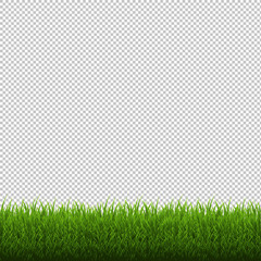 Grass Border Isolated Transparent Background