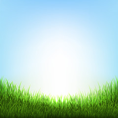 Plakat Nature Background With Grass