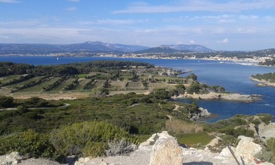 Ile des Embiez La Seyne sur Mer Toulon