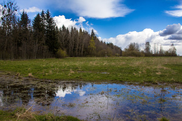 Obraz premium Belarusian open spaces in the spring