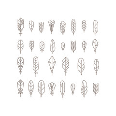 Graphical mono line feathers set. Design elements or linear signs.