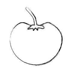 Tomato fresh vegetable icon vector illustration graphic design
