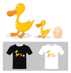 Vector illustration of life cycle of a duck. T-shirt graphic design.