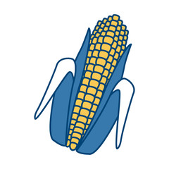 Fresh corn isolated icon vector illustration graphic design