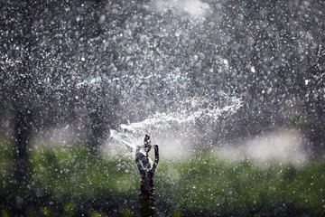 Obraz premium close up of abstract splash water sprinkler background.