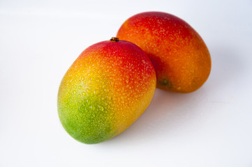 Taiwan famous tropical fruit, mango, aroma of thick flesh golden