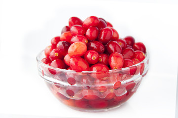 The main growth of the northern hemisphere of the fruit, red berries cranberry