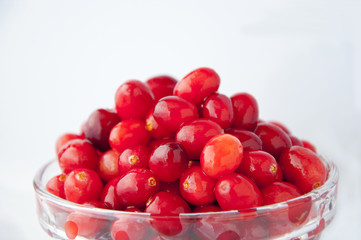 The main growth of the northern hemisphere of the fruit, red berries cranberry