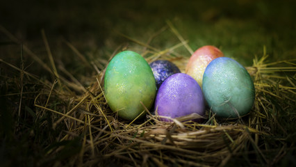 The colorful easter eggs in the nest with green grasses background of front yard