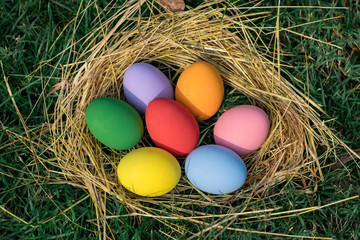 The colorful easter eggs in the nest with green grasses background of front yard