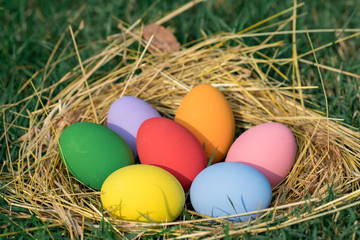 Naklejka na ściany i meble The colorful easter eggs in the nest with green grasses background of front yard