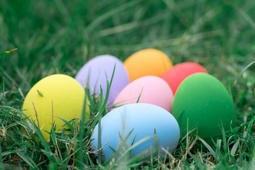 The colorful easter eggs in the nest with green grasses background of front yard