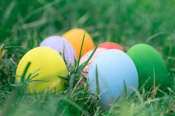 The colorful easter eggs in the nest with green grasses background of front yard
