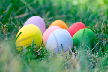 The colorful easter eggs in the nest with green grasses background of front yard