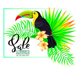 Summer sale composition with toucan flowers and leaves