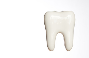 White enamel tooth model isolated on white