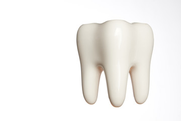 White enamel tooth model isolated on white