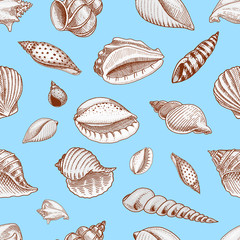 seamless pattern shells or mollusca different forms. sea creature. engraved hand drawn in old sketch, vintage style. nautical or marine, monster or food. animals in the ocean.