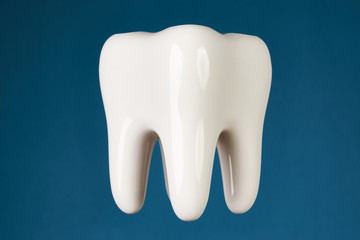  ermet ceramic tooth model isolated on blue