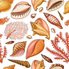 seamless pattern shells, seaweed and mollusca different forms. sea creature. engraved hand drawn in old sketch, vintage style. nautical or marine, monster or food. animals in the ocean.