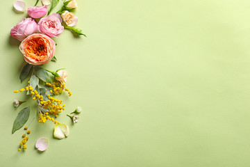 Beautiful flowers on color background