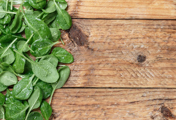 Fresh organic baby spinach with water drops on the old wooden table. Selective focus and copy space