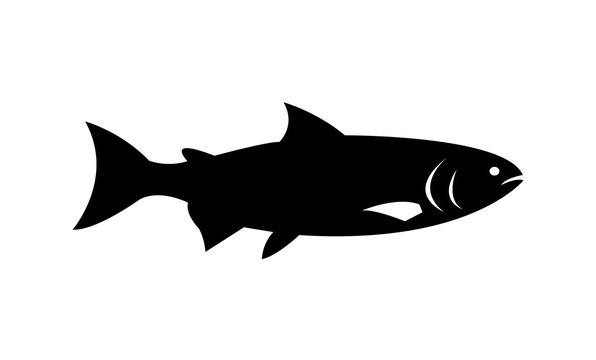 Salmon fish illustration silhouette