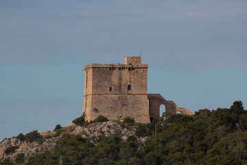Santa Caterina tower