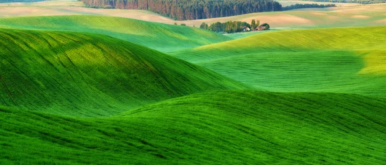Foto op Plexiglas Groen lente veld. pittoresk heuvelachtig veld. landbouwgebied in de lente