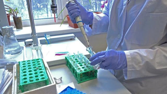 Young scientist working in a laboratory