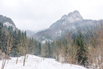 Fototapeta na wymiar Slovakia national park Mala Fatra, Janosikove diery, Terchova village. Paths in the frost, winter. Hiking and tourism in Slovakia, central Europe
