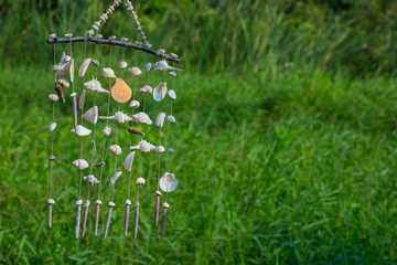 The sea shells are combined together to make beautiful decoratio