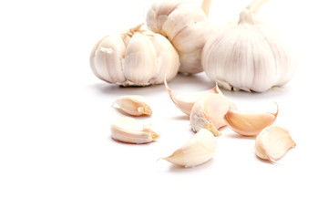 Garlic on a white background