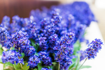 Blue purple tall long fake lupine flowers as decoration