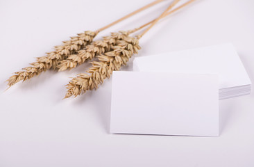 Business cards next to wheat flower on white background. Isolated. Mockup.