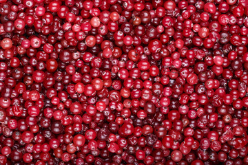 Fresh cranberries background