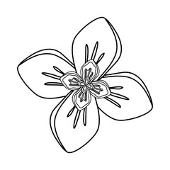 rustic floral design