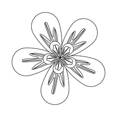 rustic floral design