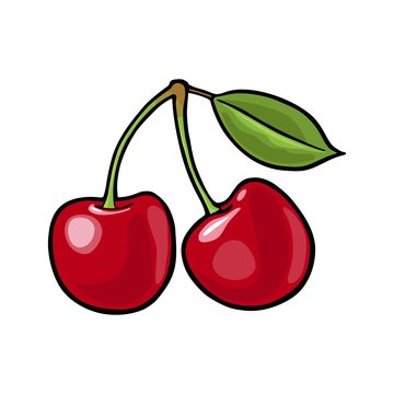 Whole cherry berry with leaf. Vector vintage flat