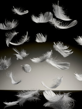 white feathers falling down on a black table
