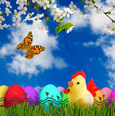 image of flowers, easter eggs and toy chicken closeup
