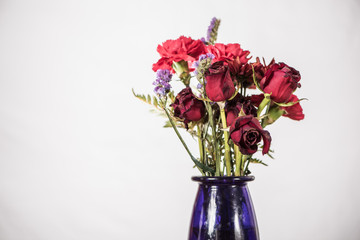 flowers on white background