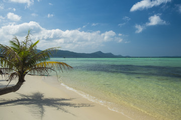 Fototapeta na wymiar Beautiful tropical beach with white sand and clear blue water. Phu Quoc island, Vietnam