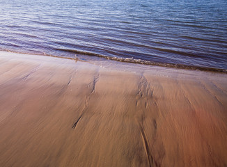 petit oiseau pilat janvier 2018