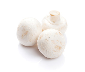Champignon mushrooms