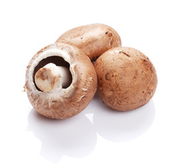 Champignon mushrooms